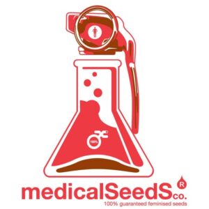 Buy Some Sweet | Medical Seeds Feminized Seeds