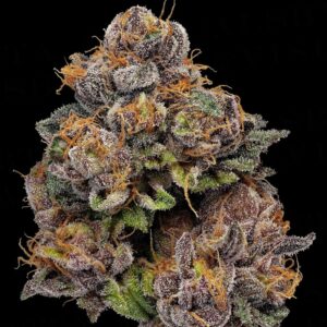 Acai Gelato x Sherb BX1 – Seed Junky Genetics