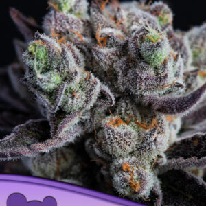 Blackberry Moonrocks seeds