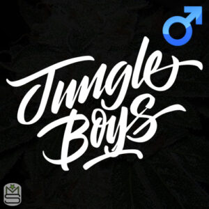 Sundae Driver #19 | Jungle Boys Regular Seeds