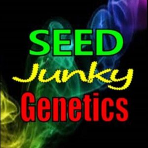 Purple Cake – Seed Junky Genetics