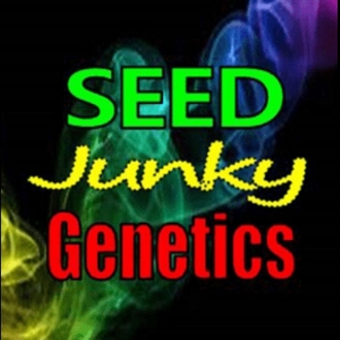 Purple Cake – Seed Junky Genetics