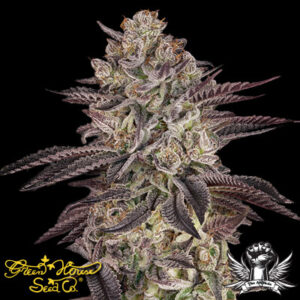Green House Seeds:  Biscotti AUTO