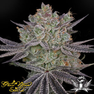 Green House Seeds > Green House Seeds Papaya Sour Spritz