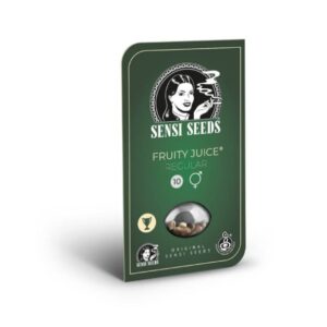 12 Big Bud Sensi Seeds