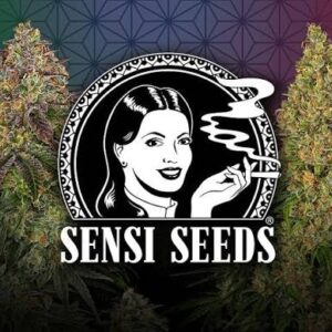 Buy Gelato Dream seeds