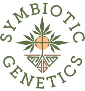 Buy Grease Fire | Symbiotic Genetics Feminized Seeds